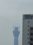 RIMG11241-1.jpg